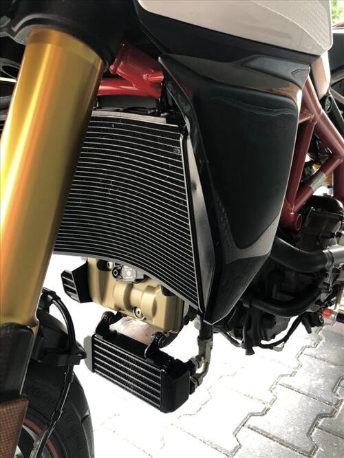 Foto: Ducati 950 SP Cornering ABS/DTC evo/DWC evo/DQS evo Hypermotard